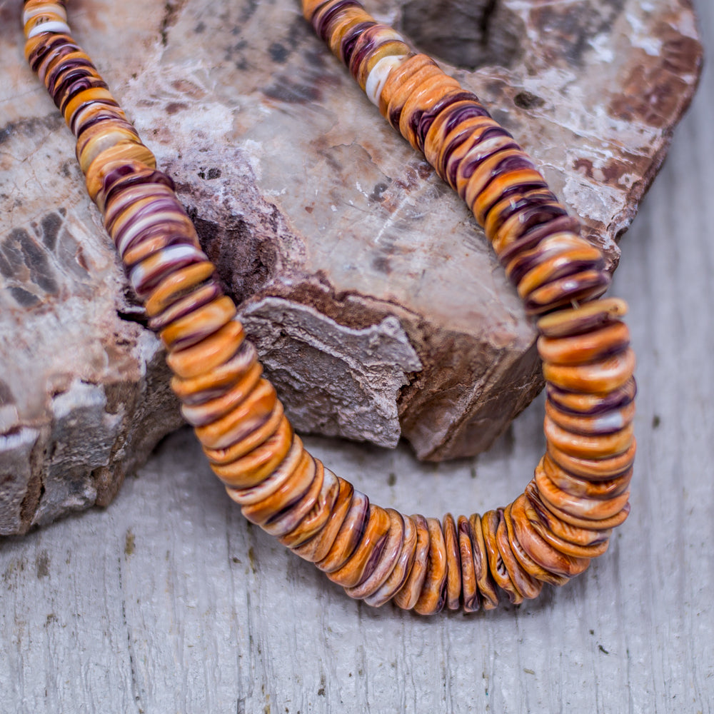 Lion's Paw Shell Beaded Necklace by Priscilla Nieto