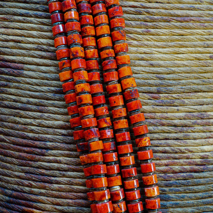 5-Strand Orange & Red Spongeless Coral with Olive Shell Necklace