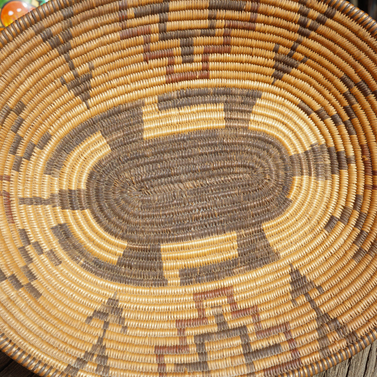 "Turtle" Vintage Pima or Yavapai Apache Basket