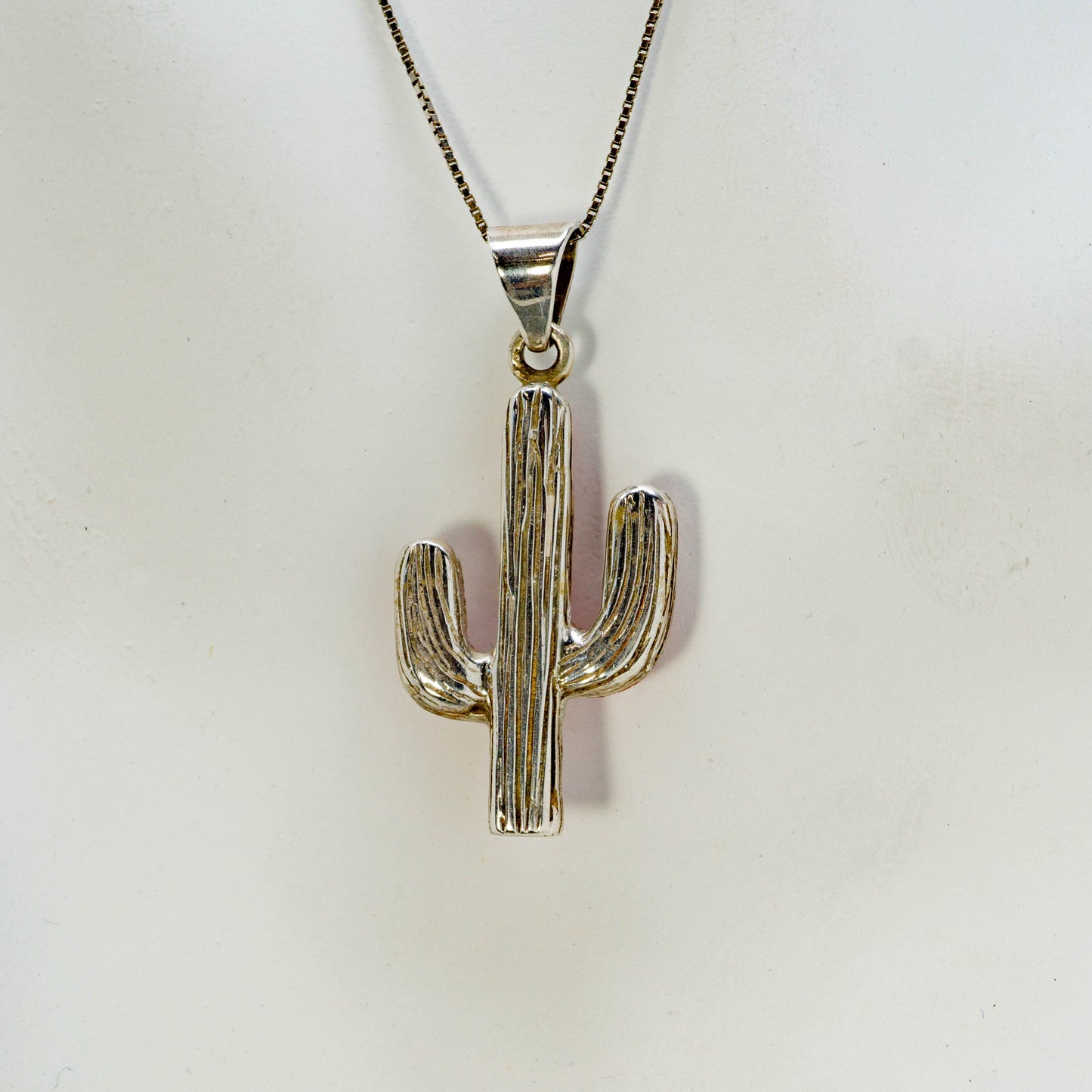 Coral Cactus/Saguaro and Sterling Silver Necklace on 18-inch-chain