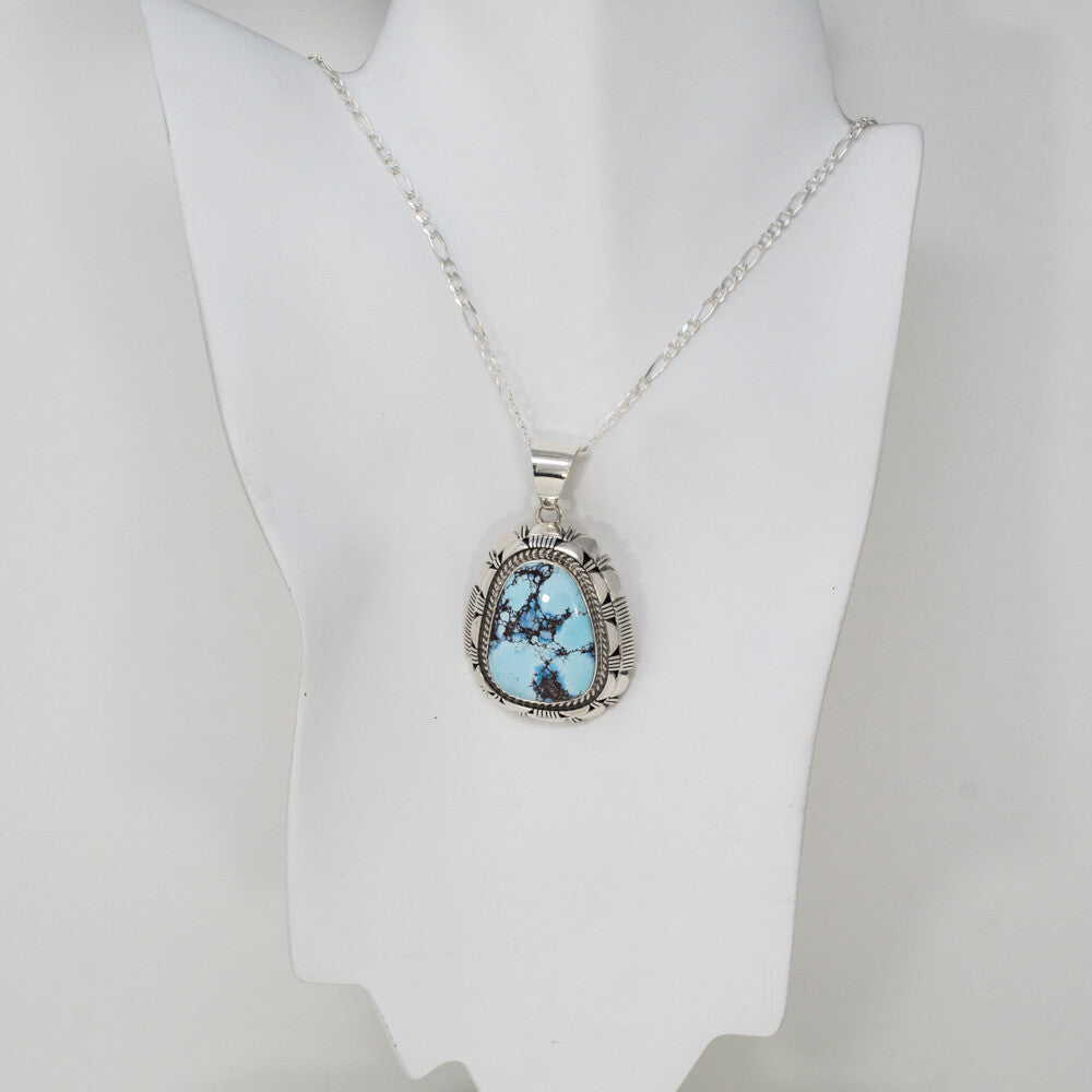 Golden Hills Turquoise & Sterling Silver Pendant Necklace