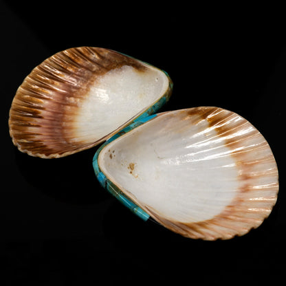Pair of Turquoise, White Shell & Jet Kewa Pueblo Inlay Shells by Priscilla Nieto